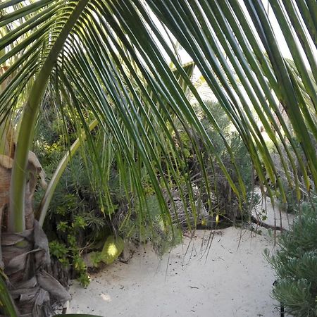 تولوم Eco Lodge Hotel Villa المظهر الخارجي الصورة