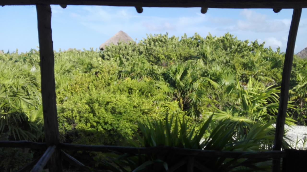 تولوم Eco Lodge Hotel Villa المظهر الخارجي الصورة
