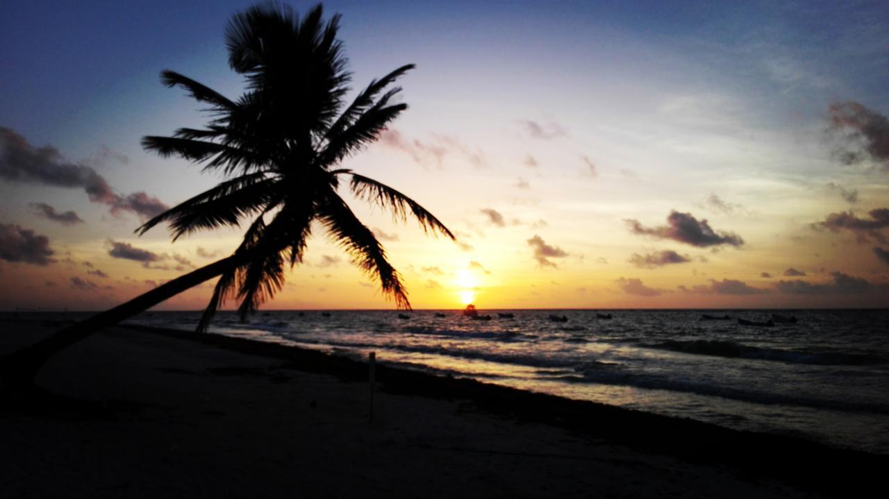 تولوم Eco Lodge Hotel Villa المظهر الخارجي الصورة