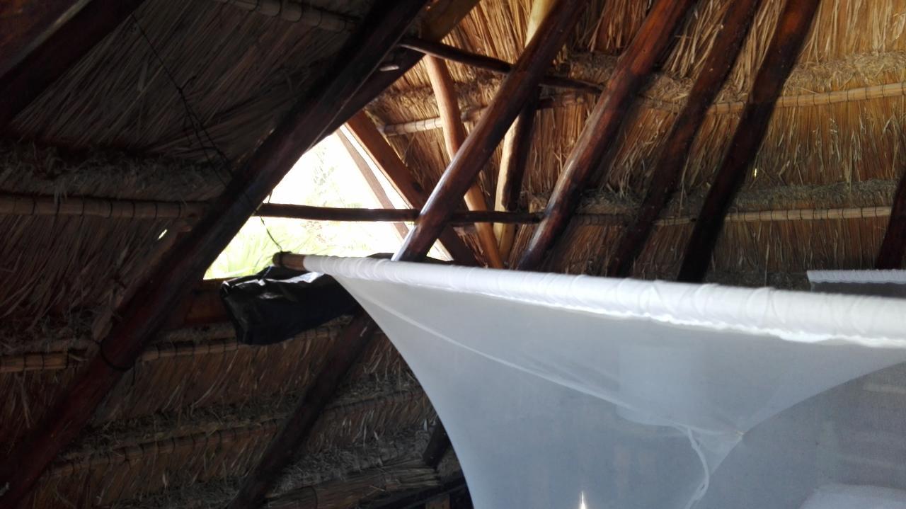 تولوم Eco Lodge Hotel Villa المظهر الخارجي الصورة